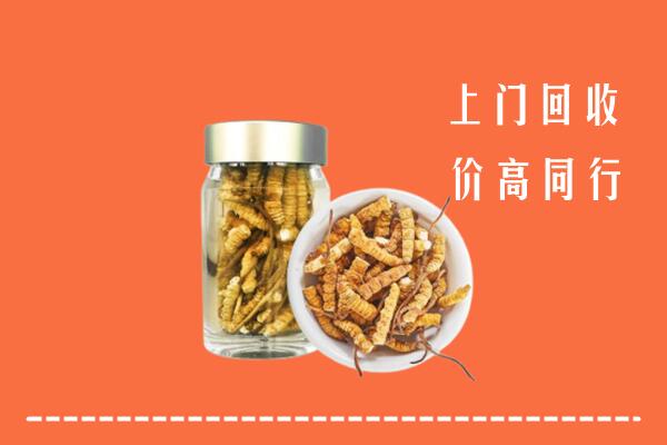 附近收购：措美县回收冬虫夏草